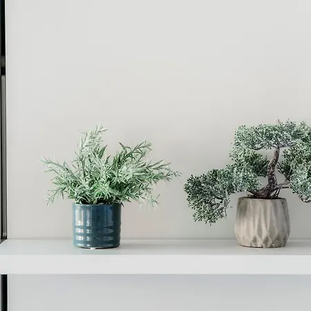 Apartment White Studio 8 - New Opening Locarno